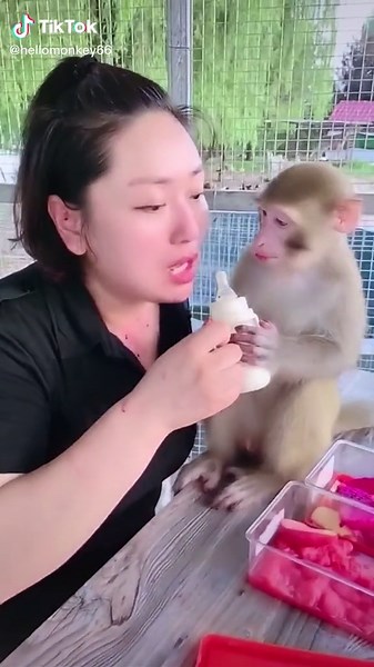 Oh my 👃 #hellomonkey66 #animals #monkey #cutebaby