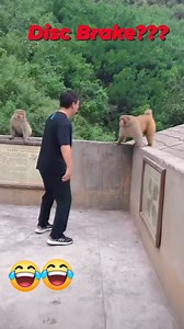 2.4M views · 10K reactions | Disc Brake??藍藍藍 DIGITALSankar #fbreelsfypシ゚viralシ #fbreels #viral #funny #short #viralvideoシ #trendingreels | DIGITALSankar | Facebook