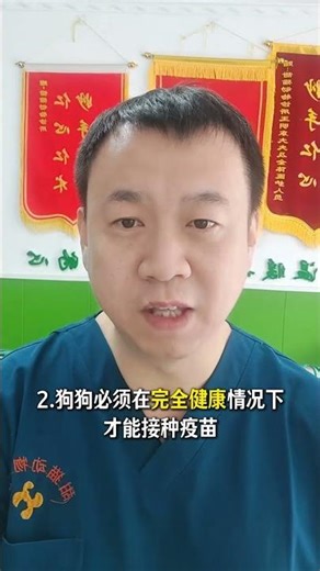 The Ultimate Guide to Dog Vaccination: 3 Essential Doses