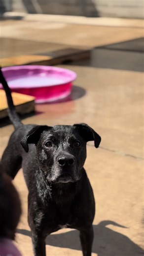 CLE_Unleashed on TikTok