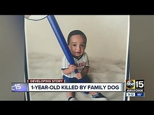 Baby dragged outside by dog, killed in south Phoenix attack
