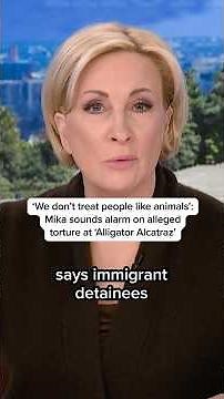 'We don't treat people like animals': Mika sounds alarm on alleged torture at 'Alligator Alcatraz'