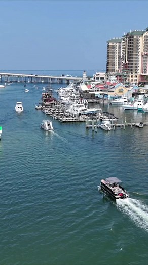 I Was Amazed What's under Destin Harbor Boardwalk! | The Lawless Tide
