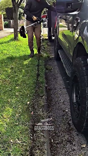 Sharp Garden Lawn Borders and Crisp Edges for Elegant Grass Finish 🌿 | #lawncare #trimming