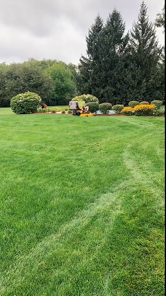 Simple Lawn Care Hacks to Completely Transform Your Yard