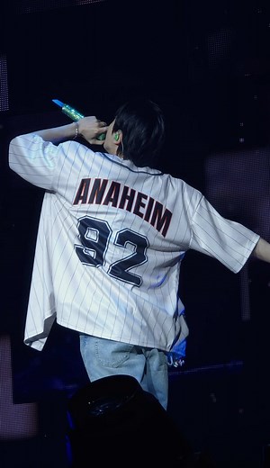 BTS Jin Live Concert Experience in Anaheim