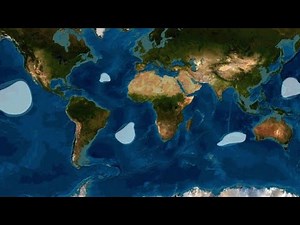 Pollution : qu'appelle-t-on le continent plastique ? | AFP Animé