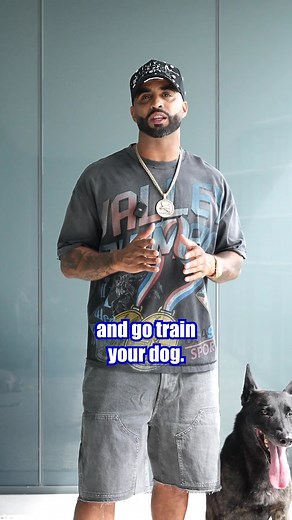Stop blaming your rescue dog’s past 🐕. It’s not about what they went through, it’s about what you teach now. Structure, discipline, and consistency fix behavior—not excuses. Comment TRAIN and I’ll show you how to turn it around. #CaliK9 #DogTraining #DogTrainer #Miami #SanJose #LosAngeles #NewYork | Cali K9