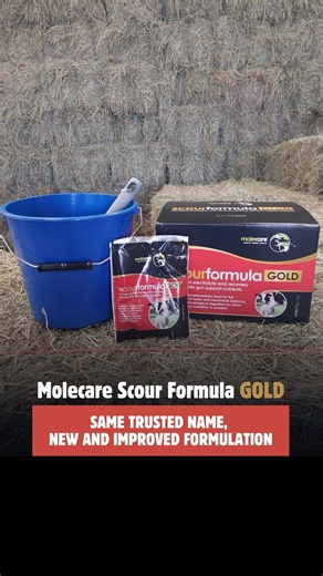 11 reactions | Introducing Molecare Scour Formula GOLD - the same...
