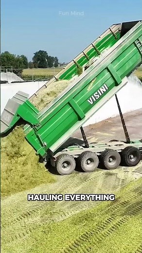 This Is How American Farms Make Giant Silage for Thousands of Cattle!