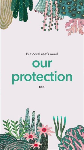 Our Commitment to Protect Coral Reefs