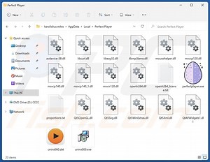 Perfect Player Unwanted Application