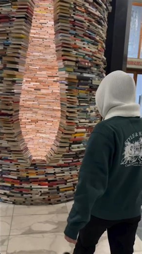 Craziest Library Ever 🤯
