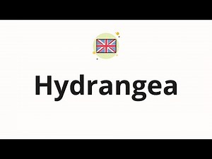 How to pronounce Hydrangea