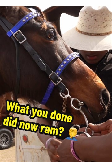 Lessons Learned at the Trailride