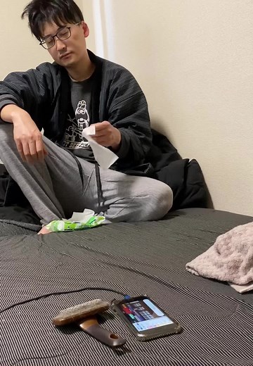 キジトラたぬきの魅力