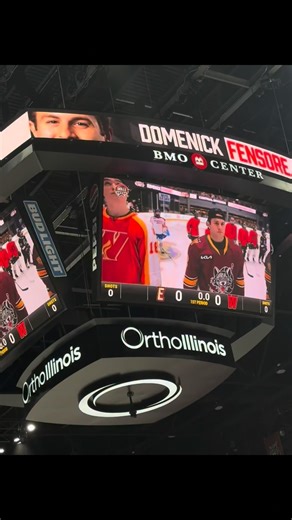 Chicago Wolves on Instagram: "does rockford know who owns the BMO (it’s us.)"