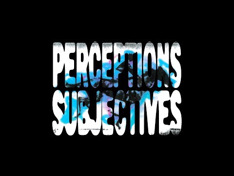 PERCEPTIONS SUBJONCTIVES