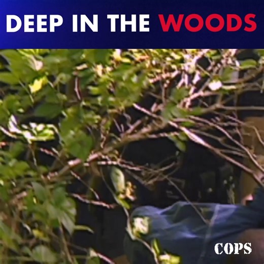 19K views · 377 reactions | “I’m a country boy. I won’t let a city boy beat me in the woods.” A known drug dealer takes officers on a pursuit that ends when he runs into a new fence. This episode was filmed in 1998 and features the City of Atlanta Police Department. #cops #copstv #police #atlanta #pursuit | COPS | Facebook