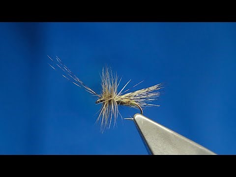 Tying a Coq de Leon Grannom Caddis Fly with Davie McPhail