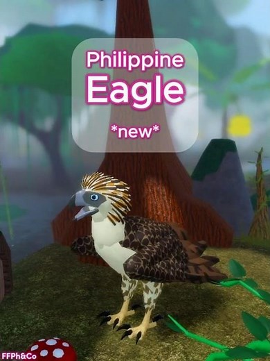 Philippine Eagle * new * 🐦🐣 in Feather Family