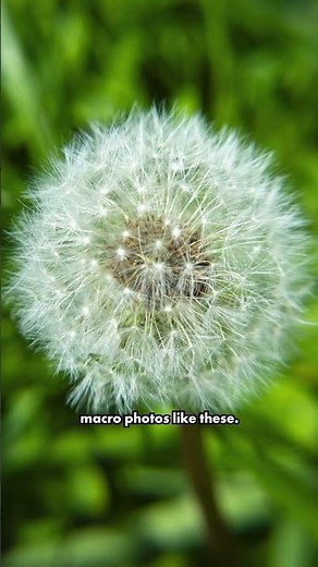 Macro Photography Made Easy with Macro Reverse Rings #photography #macrophotography