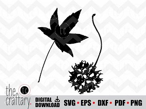 Sweetgum Tree Leaf and Pod | Sweet Gum Ball | Sweetgum Ball Tree | Svg • Eps • Dxf • Pdf • Png - Etsy Australia