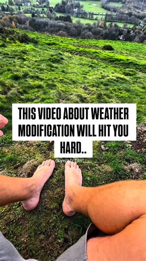 geoengineering_all_around_the_world🌍 on Instagram: "#geoengineering #weathermanipulation #cloudseeding #stratosphericaerosolinjection #chemtrails or #contrails #clouds and #climatchange ?!? Bees are sensitive creatures where all of this is noticeable. There are also people with hypersensitive reactions; I’m thinking of MCS patients, multiple chemical sensitivity—are you familiar with that? I dedicate this post to the people who are confronted with these environmental illnesses. Depending on whe