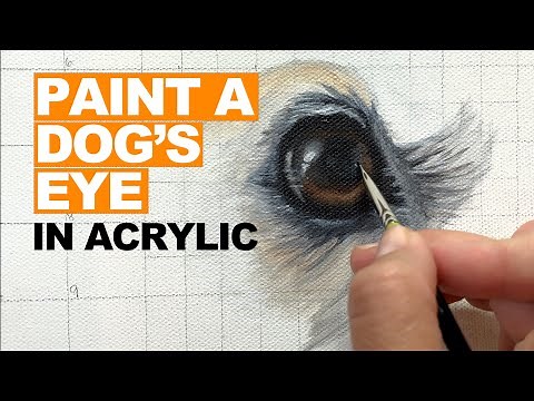 Paint a Realistic Dog’s Eye in Acrylic