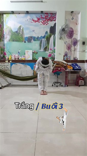 Đai trắng 1 gạch. Buổi 3 Tập đá đá đá...