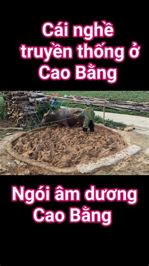 - Cái nghề truyền thống ở Cao Bằng. - "Ngói âm dương Cao Bằng luôn tạo ra sự khác biệt cho ngôi nhà của bạn!" - Làng nghề ngói âm dương (ngói máng) truyền thống ở Cao Bằng. Gia đình Thành có Ngói âm dương phục vụ anh chị em để lợp nhà sàn, nhà trình tường, nhà gỗ, nhà vườn, quán cà phê (lợp và trang trí Quán cà phê), homestay, công trình kiến trúc cổ, khu du lịch ... Ngói âm dương Cao Bằng được bán đi khắp các huyện trong tỉnh, ngoài tỉnh (Hà Giang, Lạng Sơn, Bắc Kạn, Hòa Bình, Bắc Ninh, Quảng N