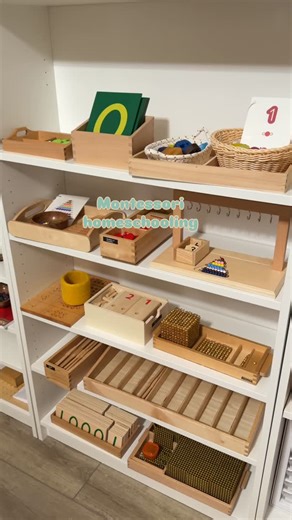 Bri Norfolk on Instagram: "Current math shelf for my youngest, chosen intentionally. Adjusted as mastery develops. ⁣ ⁣ Will be removing and adding new material as most of it she has mastered, some materials she is still working on, so will be adding some variations. ⁣ ⁣ ⁣ ⁣ ⁣ ⁣ ⁣ ⁣ ⁣ ⁣ ⁣ ⁣ #montessori⁣ #montessorihomeschooling⁣ #montessoriathome⁣ #homeschool⁣ #math⁣"