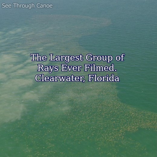 743K views · 22K reactions | To the best of my knowledge, this is the...