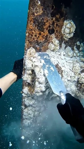 Extreme Deep Sea Restoration: Bilge Keel Scrape 🚢⛏️