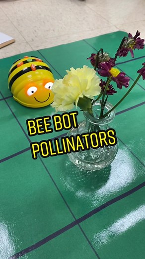 Bee Bot Pollinators: Coding Fun for K-1 Makers