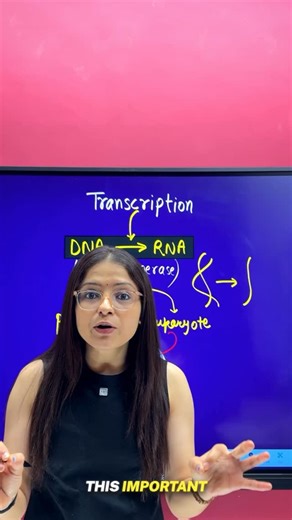 Ekta Soni on Instagram: "Comment "Biology" for Youtube Channel link Transcription in 2 mins ✅🔥 . . . . . . [explore, explorepage, Neet, Neet biology, class12biology, cbsebiology, class12boardexam, cbseboardexam, biology exam, neetaspirant, transcription, molecular basis of inheritance]"
