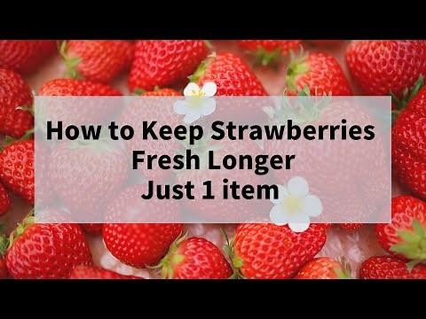 How to Keep Strawberries Fresh Longer, Just 1 item to Store Strawberries Longer