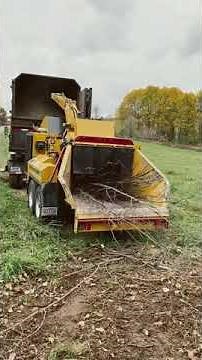 Vermeer AX19 Chipping a whole tree in 60 seconds