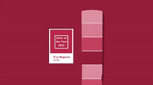 Viva Magenta | Pantone of 2023 | Bollywood Viva Magenta | Herzindagi