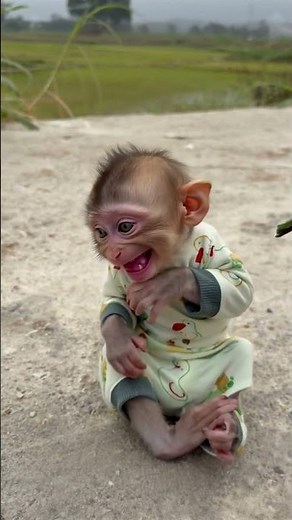 Happiness is a baby monkey smiling just for you! 😊🐒