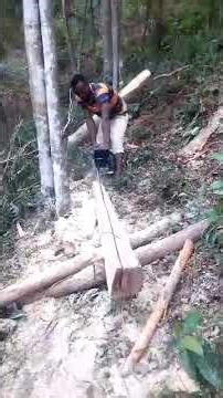 EASY WAY TO FELL DOWN TREES WITH A MOTORSAW