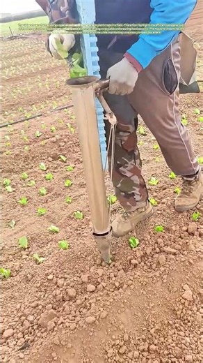 Sowing Success: How Modern Farming Tools Boost Crop Yields