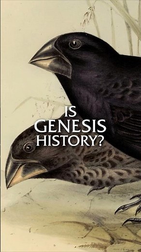 Do Creationists Believe in Natural Selection?