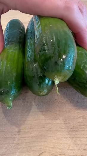 1M views · 17K reactions | On repeat #reels #recipe #cooking #bakedbymelissa #asmr #easyrecipes #lunch #lunchtime #breakfast #breakfastideas #cottagecheese | Baked by Melissa | Facebook