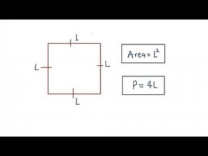 how to find a square's perimeter and area