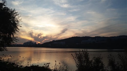 Free video - Autumn, Fall, Forest, Nature