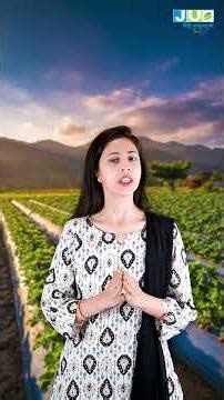 खेती का हिसाब-किताब | Episode 4 – स्ट्रॉबेरी खेती में कम समय में अच्छा मुनाफ़ा। Strawberry Farming