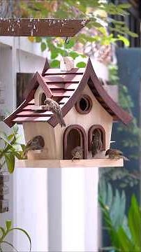 Discover Your OWN Unique Wooden Bird Feeder Design Today! #diy #birdingparadise #birdfeeder