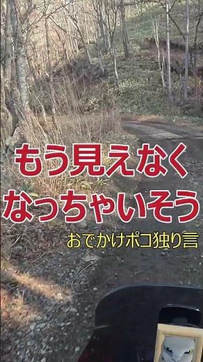 CD50s原付 VS 軽二輪ADV150 #ダート林道 #ダートレース #shorts