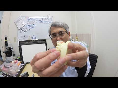 ミラクルデンチャーのご紹介です